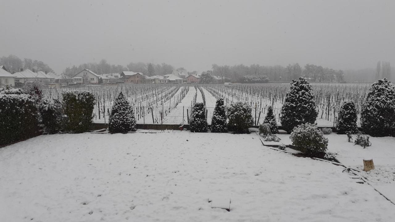 Bed and Breakfast Aux Pieds Des Vignes Ingersheim Zewnętrze zdjęcie